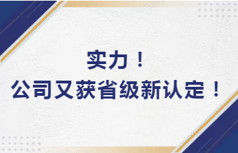 實(shí)力！公司又獲省級新認(rèn)定