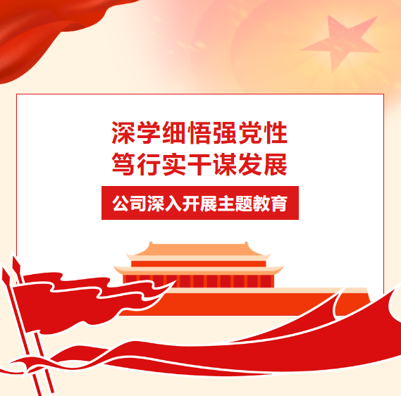 深學(xué)細(xì)悟強黨性 篤行實干謀發(fā)展 | 公司深入開展主題教育
